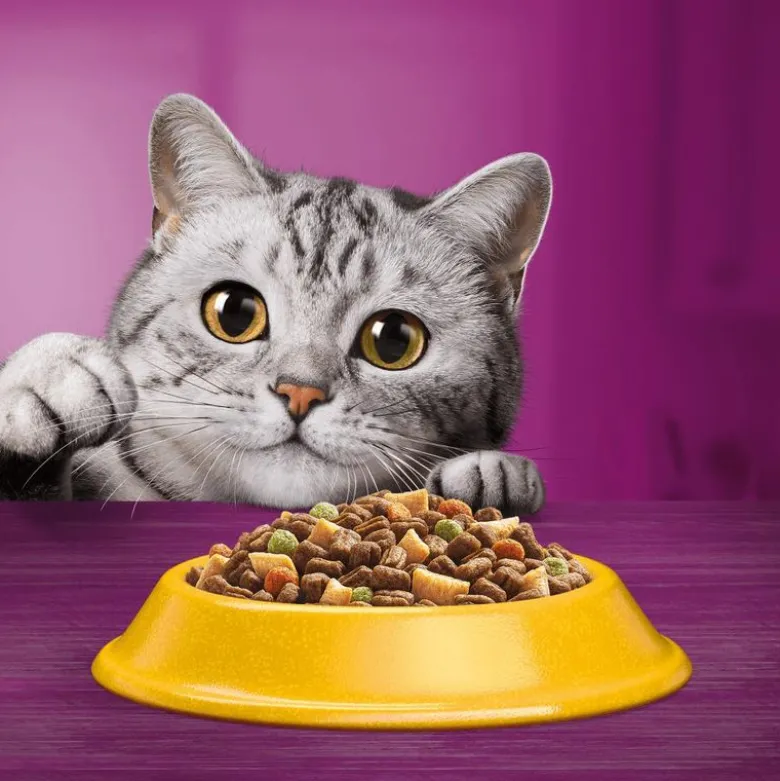 Whiskas 7+ Senior Kylling
