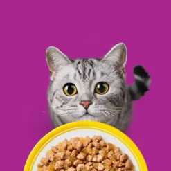Whiskas Senior portionsposer 12 x 85 g