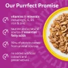 Whiskas Senior portionsposer 120 x 85 g