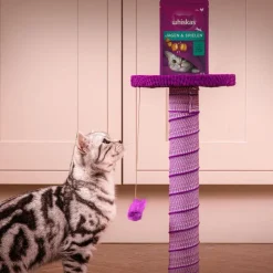 Whiskas Snacks Pounce & Play
