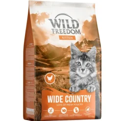 Wild Freedom Kitten