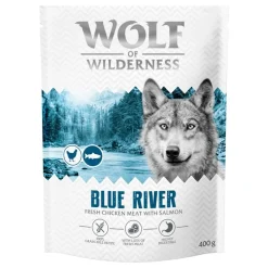 Wolf of Wilderness Adult