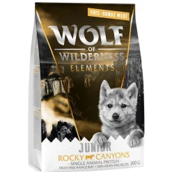 Wolf of Wilderness Adult 