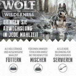Wolf of Wilderness Adult 6 x 800 g - Med masser af frisk fjerkræ