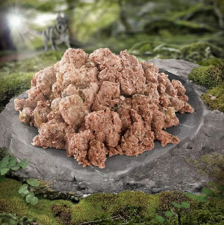 Wolf of Wilderness Adult 6 x 400 g - Single Protein