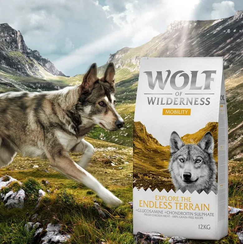 Wolf of Wilderness "Explore The Endless Terrain" - kornfri