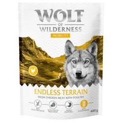 Wolf of Wilderness