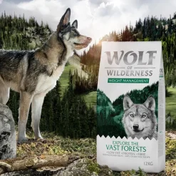 Wolf of Wilderness "Explore The Vast Forests" - Weight Management - kornfri