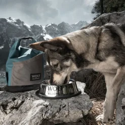 Wolf of Wilderness foderpose