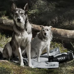 Wolf of Wilderness rejsetæppe til hunde