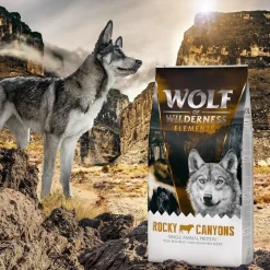 Wolf of Wilderness 