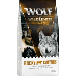 Wolf of Wilderness 