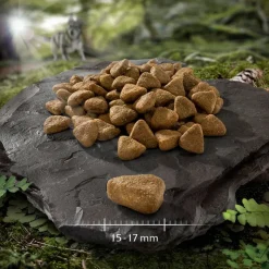 Wolf of Wilderness "Rough Storms" And - kornfri