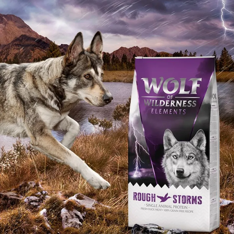 Wolf of Wilderness "Rough Storms" And - kornfri