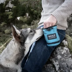 Wolf of Wilderness snackpose