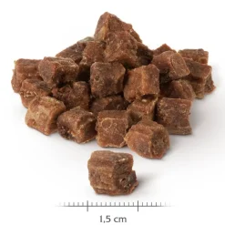 Wolf of Wilderness Snack - Wild Bites 180 g