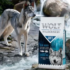 Wolf of Wilderness