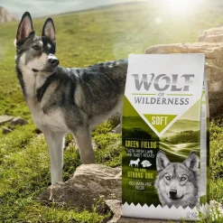 Wolf of Wilderness "Soft - Green Fields" - Lam