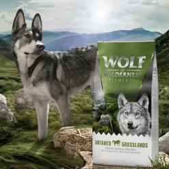 Wolf of Wilderness "Untamed Grasslands" Hest - Kornfri