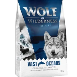 Wolf of Wilderness