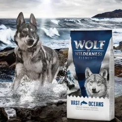 Wolf of Wilderness