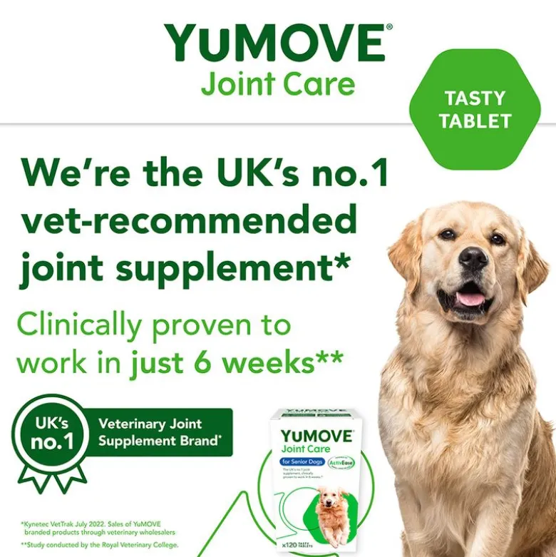 YuMOVE ledpleje til ældre hunde