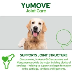 YuMOVE ledpleje til ældre hunde