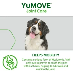 YuMOVE ledpleje til ældre hunde