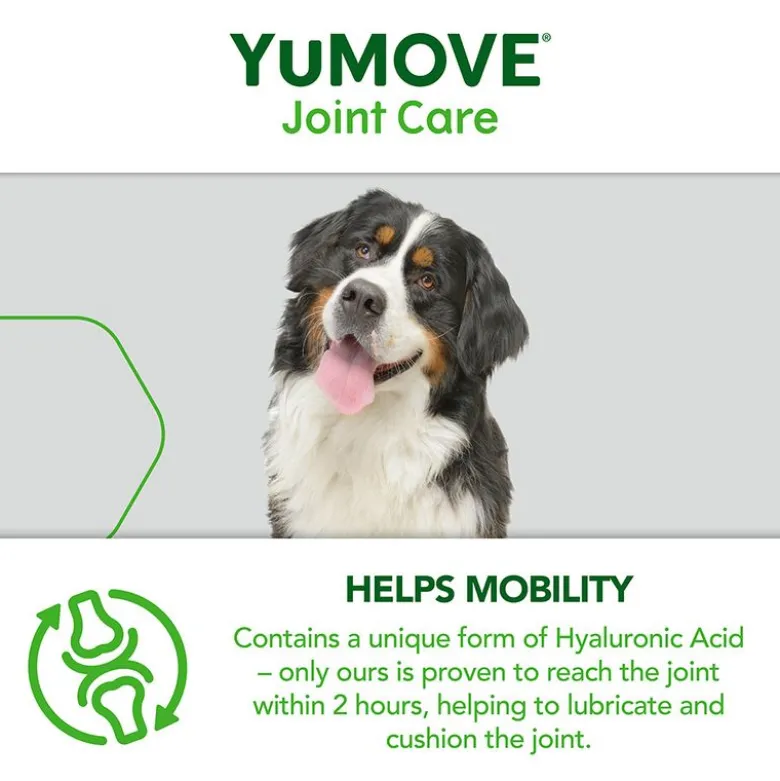 YuMOVE ledpleje til ældre hunde