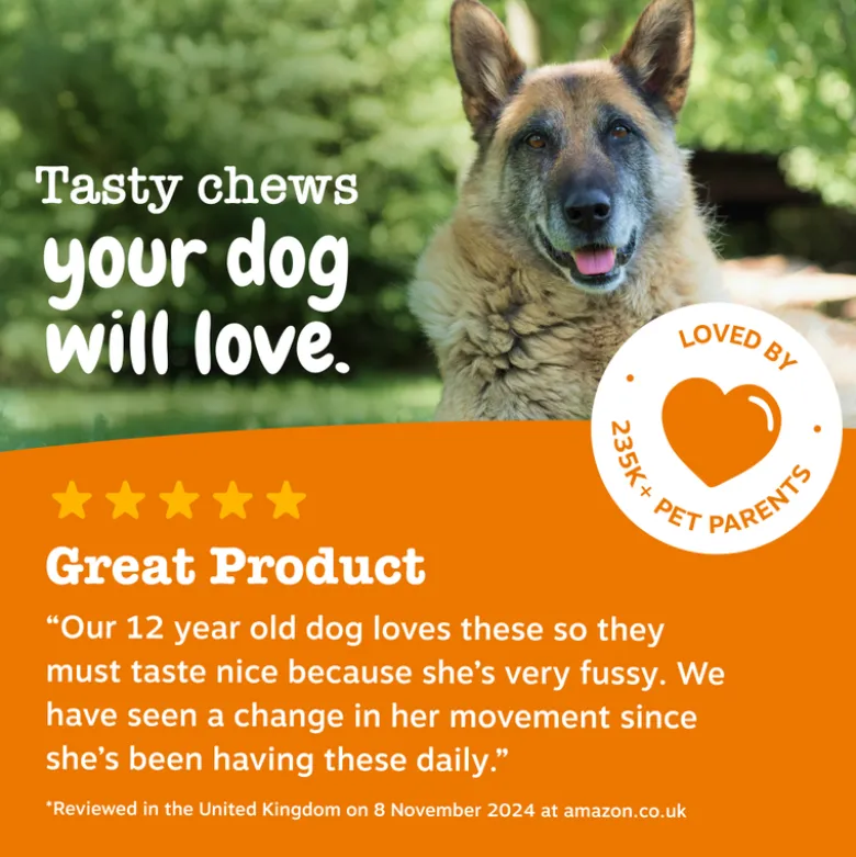 Zesty Paws Senior Hip & Joint Chews Kalkun