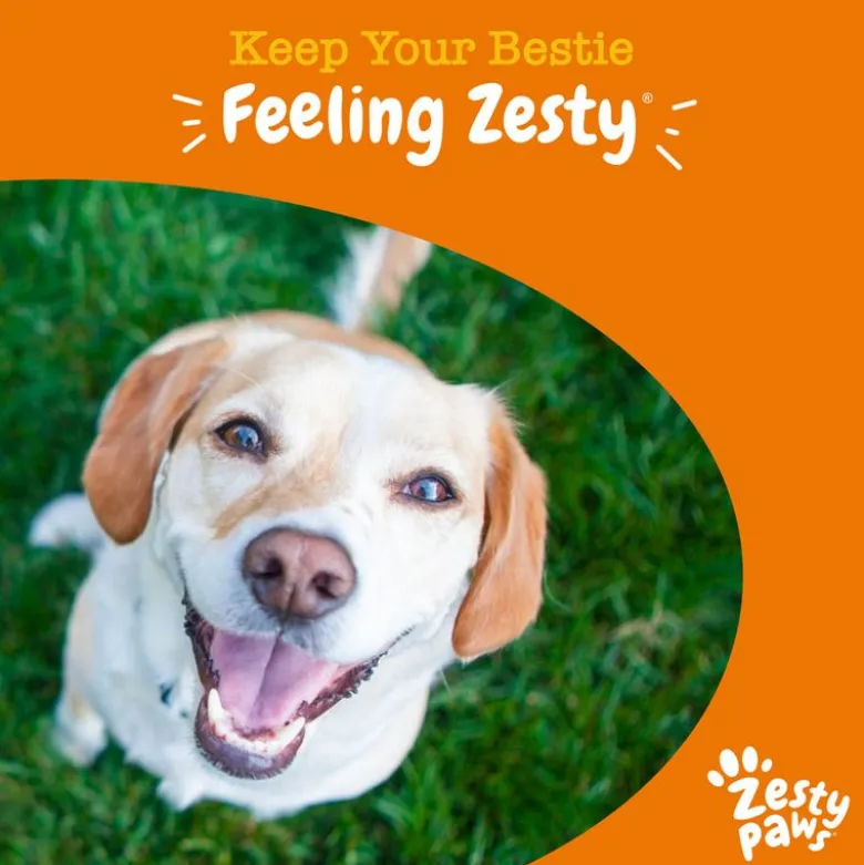 Zesty Paws Urinary Care Chews Tranebær