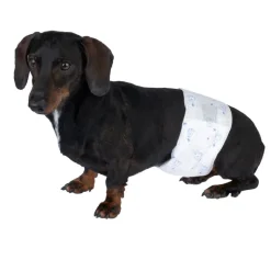 zooplus Basics bleer til hanhunde