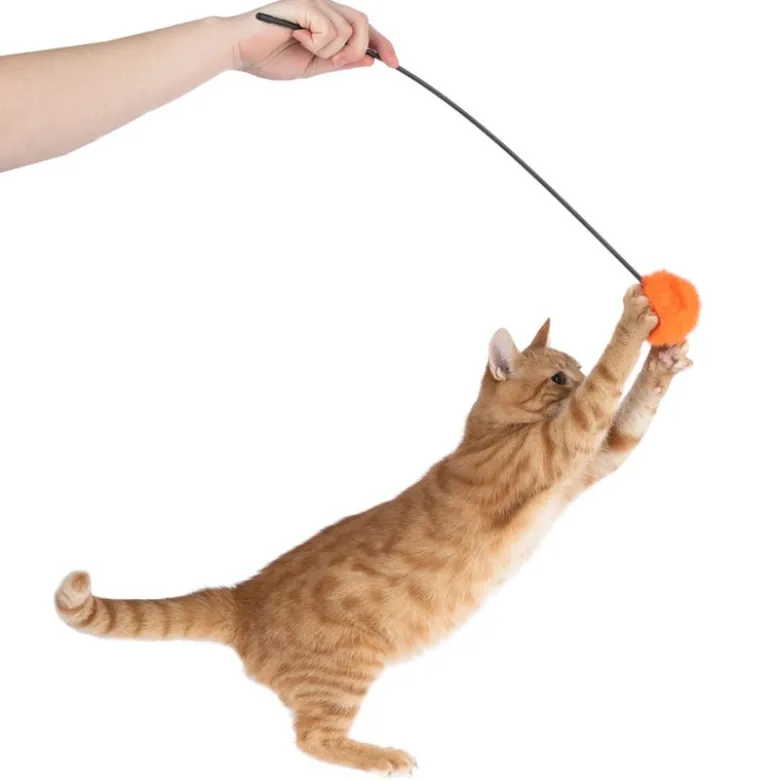 zooplus Basics drillepind med pompon
