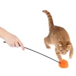 zooplus Basics drillepind med pompon