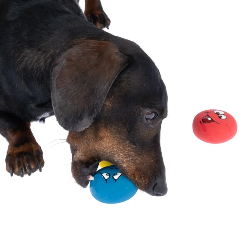 zooplus Basics emoji-latexbolde til hunde