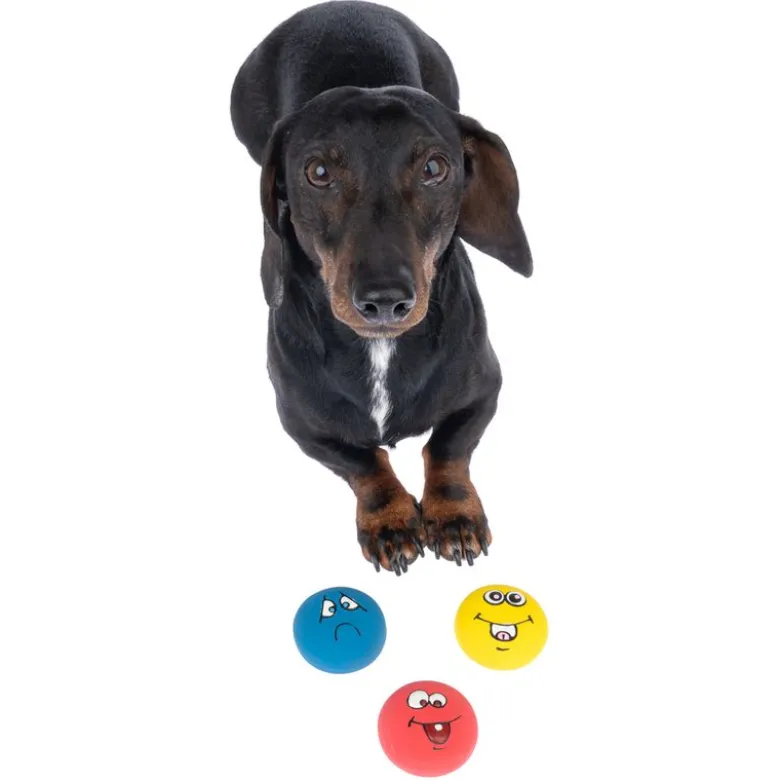 zooplus Basics emoji-latexbolde til hunde