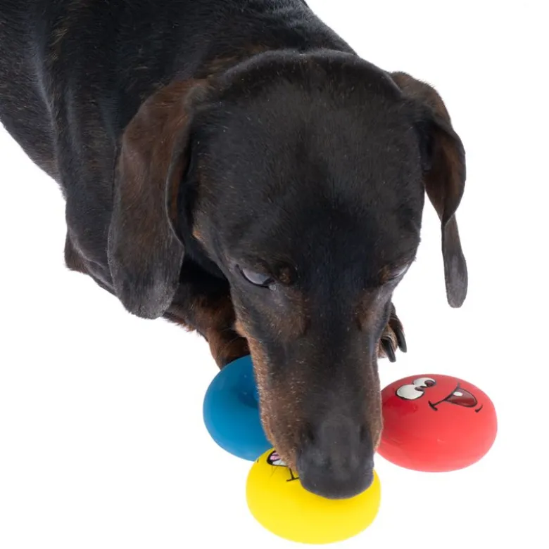 zooplus Basics emoji-latexbolde til hunde