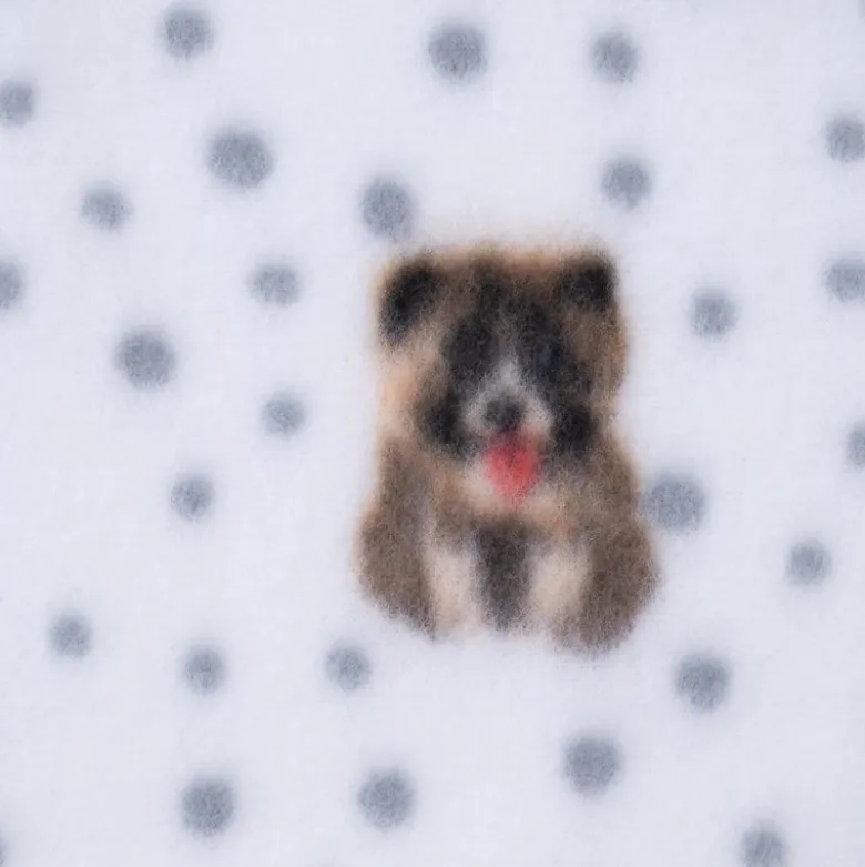 zooplus Basics Fleece Dogs & Dots hyggetæppe