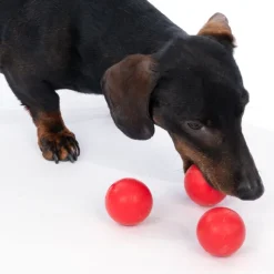 zooplus Basics gummibolde til hunde