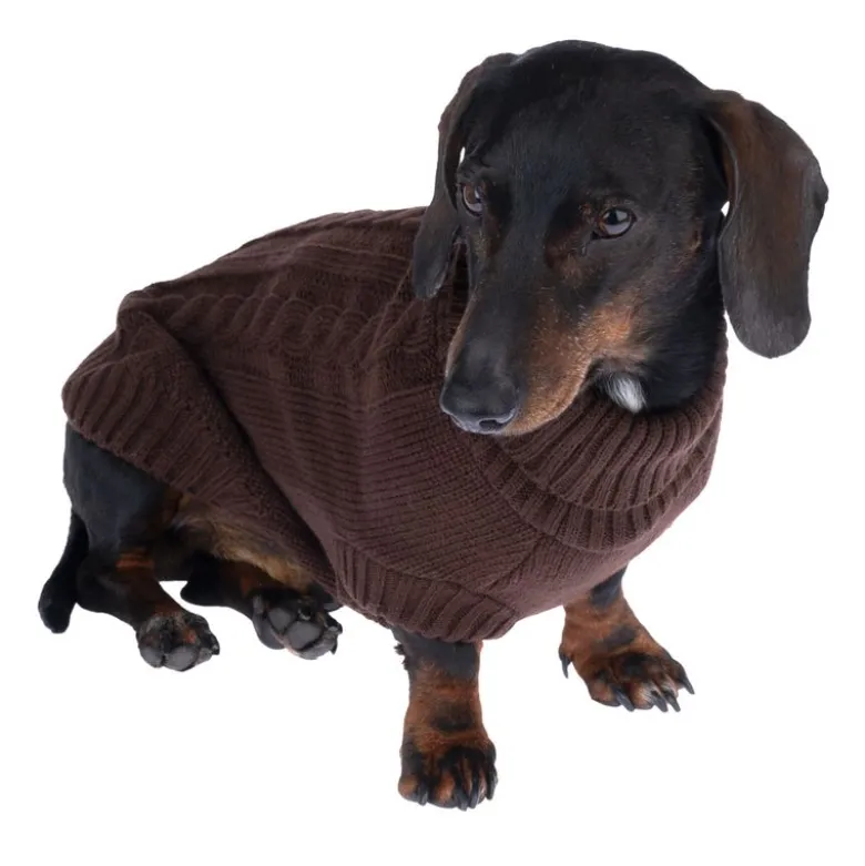 zooplus Basics hundetrøje, brun