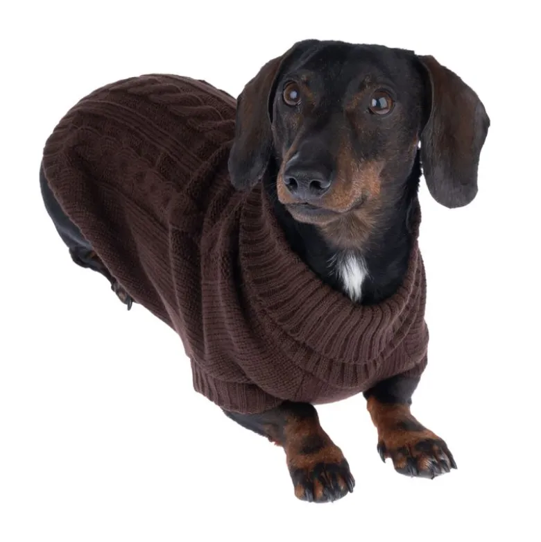 zooplus Basics hundetrøje, brun