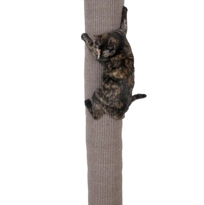 zooplus Basics klatresæk til katte
