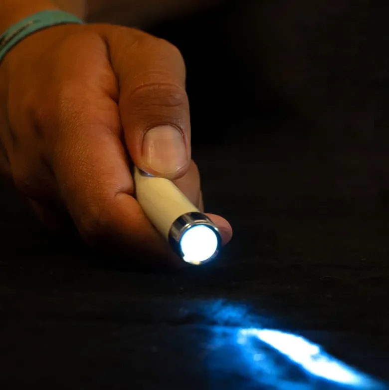 zooplus Basics LED-Pointer