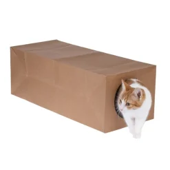 zooplus basics papirtunnel til katte