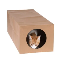 zooplus basics papirtunnel til katte