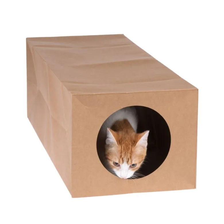 zooplus basics papirtunnel til katte