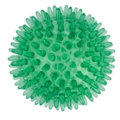 zooplus basics piggebolde-sæt
