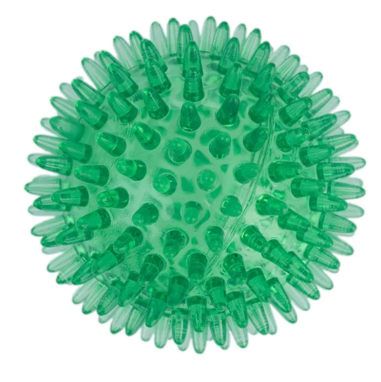 zooplus basics piggebolde-sæt