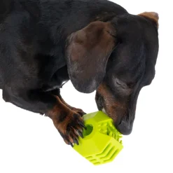 zooplus basics snackbolde-sæt lavet af TPR