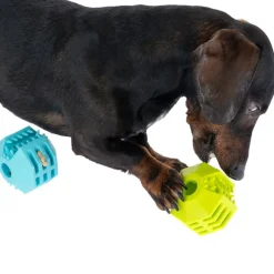 zooplus basics snackbolde-sæt lavet af TPR